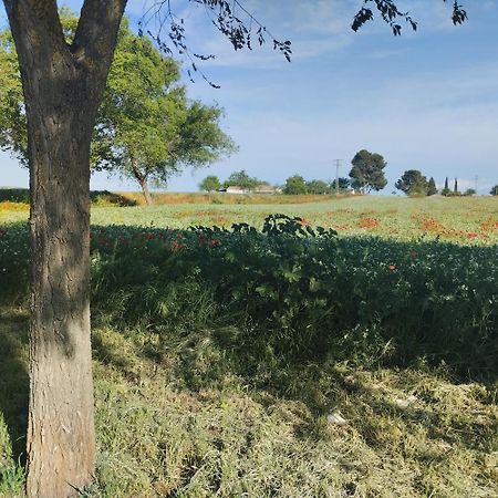 Casa Rural El Realengo Las Casas  Εξωτερικό φωτογραφία